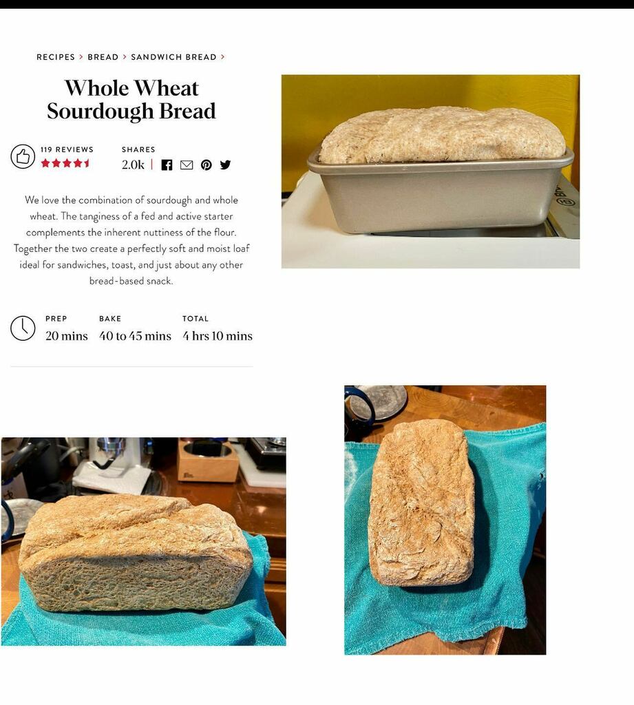 reutebh's tweet photo. I don’t think I’ll give up my day job, but it’s amazing what homemade sourdough starter, following the directions, and using a broad proof box allows you to do. #HomemadeBread #KingArthurFlour #NoviceBaker #WholeWheatBread #Sourdough #SourdoughBread #Hom… https://t.co/BLqRJsgHGU https://t.co/bhJNnlRIZl