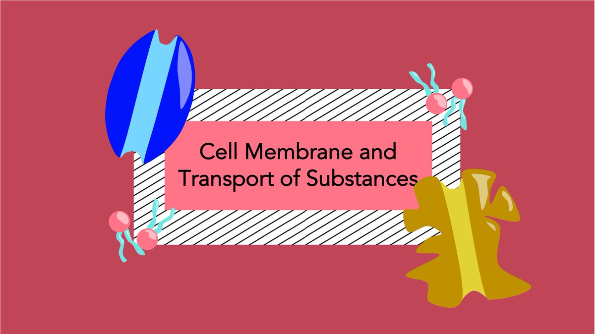 UpScide's tweet photo. Check out our newest video "Cell Membrane and Transport of Substances" at the link in our bio! 

https://t.co/WT7mv7I5Bq

#science #cells #cellmembrane #diffusion #transportation #activetransport #passivetransport #biology #sciencefacts #learning #stem #stemeducation #research https://t.co/MXyyhq2Ymn