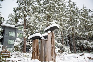 visitVIdotcom's tweet photo. MT @WickInnBC: A short winter interlude arrived in Tofino this past weekend bringing a substantial amount of snow. What a magical sight!
#Wickinn #WickaninnishInn #Tofino #BritishColumbia #chestermanbeach #Pacificocean https://t.co/X4GW3M8DiP