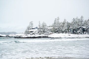 visitVIdotcom's tweet photo. MT @WickInnBC: A short winter interlude arrived in Tofino this past weekend bringing a substantial amount of snow. What a magical sight!
#Wickinn #WickaninnishInn #Tofino #BritishColumbia #chestermanbeach #Pacificocean https://t.co/X4GW3M8DiP