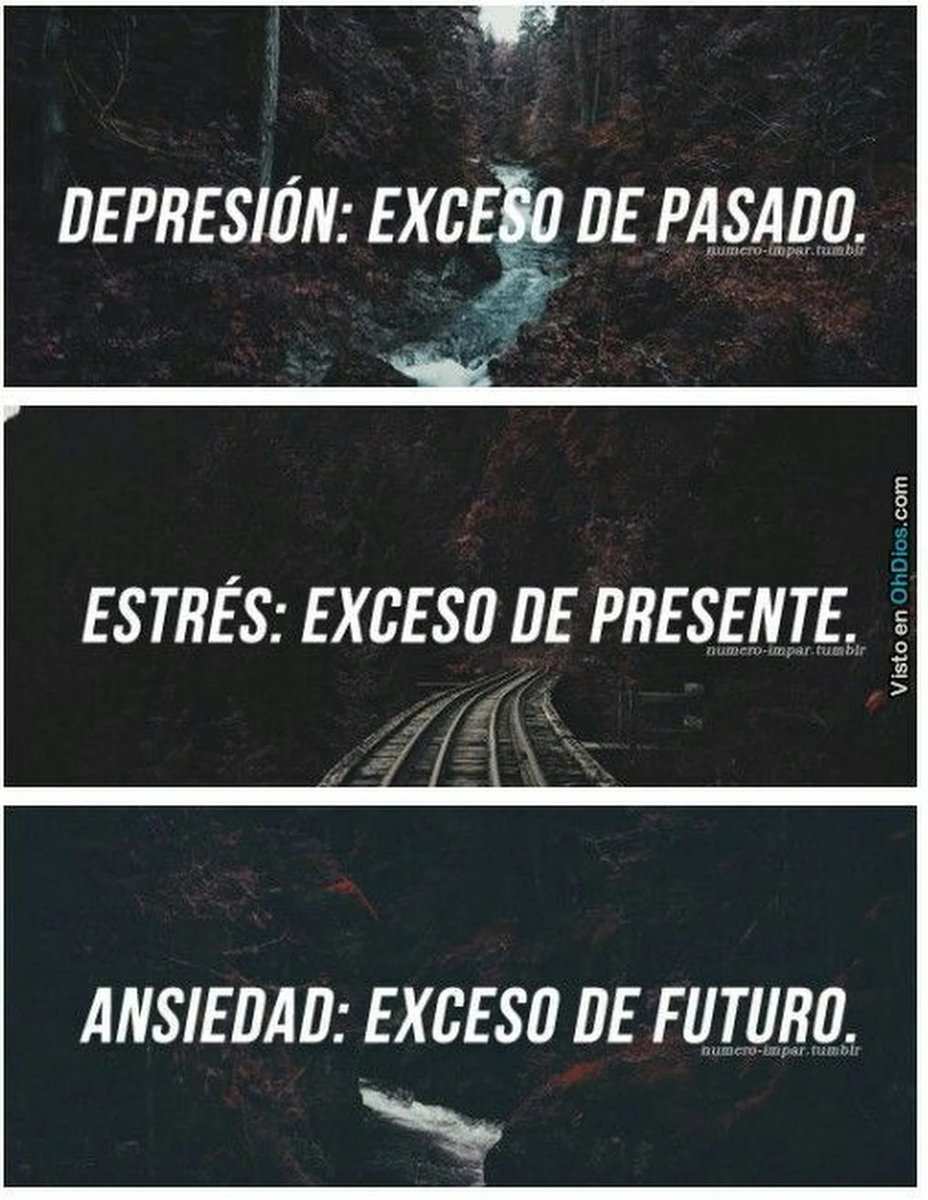 ObispoMunilla's tweet photo. El pasado lo abandono a la misericordia, el futuro lo confío a la providencia, y solo me quedo con el momento presente para vivirlo en intensidad de amor... https://t.co/BNRK3HZlT9