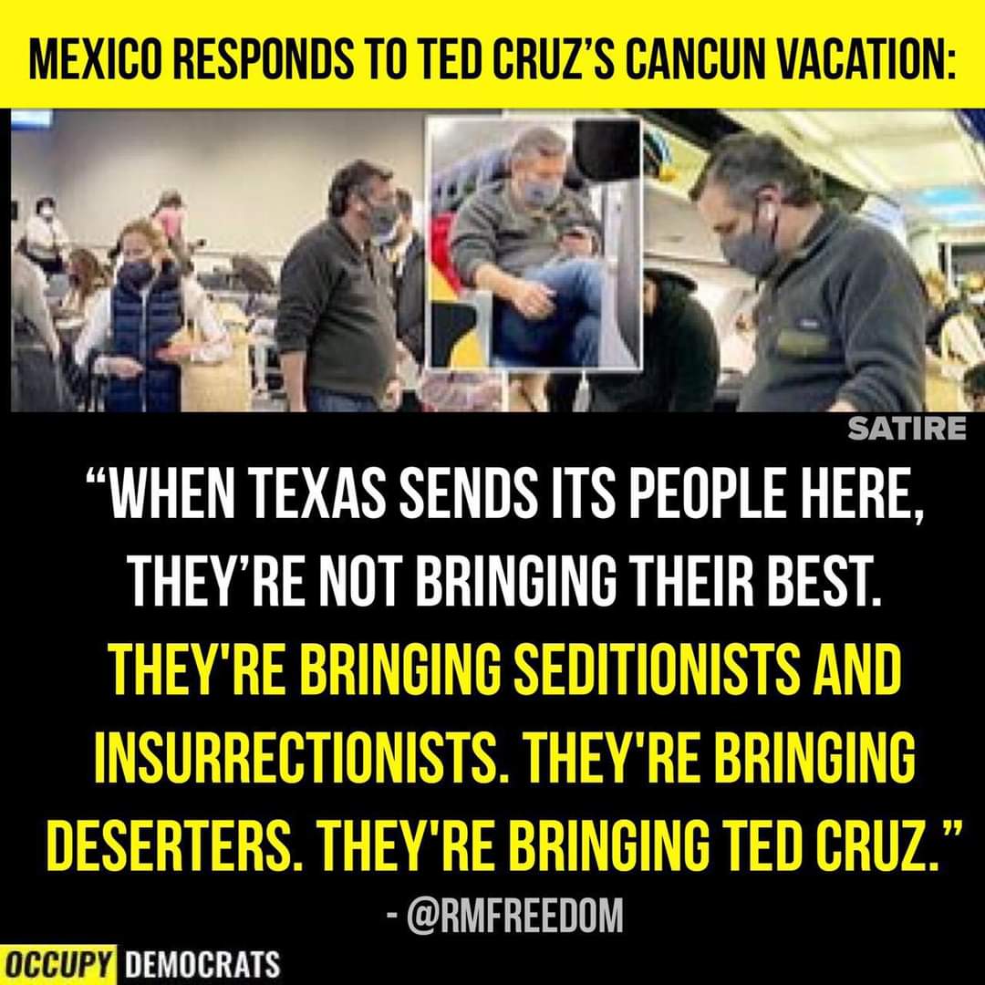 Bron Natalie Dunne tweet media