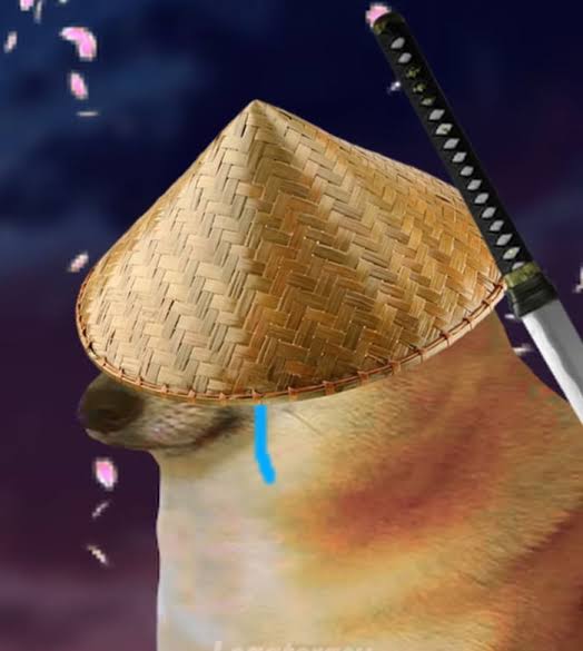 https://pbs.twimg.com/media/Euin69DWYAgz_IW.jpg