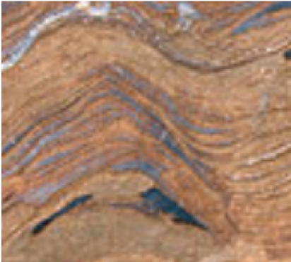 Microfossils are fossils left by organisms when mineral enriched water seeps into the sediment where microbes are deposited, encasing them in the rock. They show the outline of both individual microbes, as well as the larger scale structures that these microbes form.