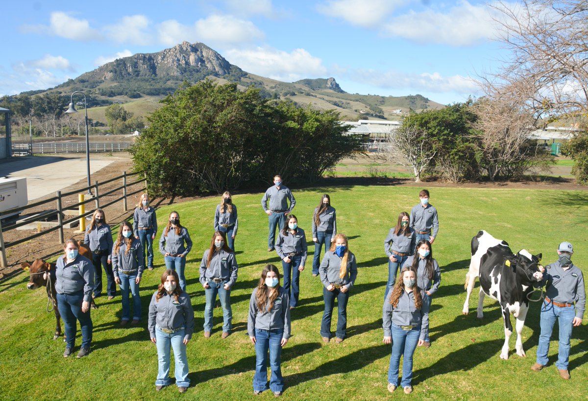 CalPoly_CAFES's tweet photo. Thank you to all the donors, faculty, students and supporters who helped to make this past weekend's dairy sale possible! The Cal Poly Dairy had great success in their virtual sale and they look forward to continuing this sale in years to come.
#CalPolyGrown #LearnbyDoing https://t.co/I8DY2GpRND