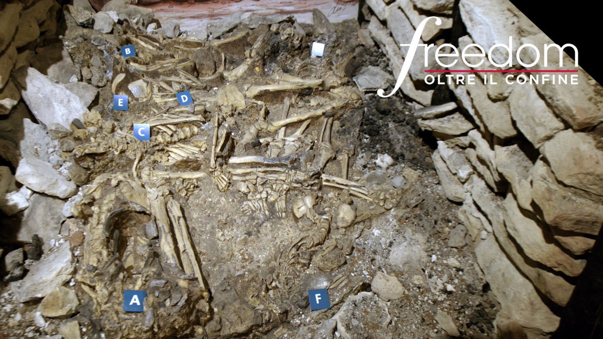 MusaUnisalento's tweet image. Domani 19 febbraio alle ore 21.20 - #Italia1, #Freedom-Oltre il confine vedrà protagonista anche il #MUSA e la sua sezione su #RocaVecchia con i 7 #scheletri ritrovati in un passaggio delle fortificazioni protostoriche del sito
#permessospeciale #freedomitalia1 #tellmemusa