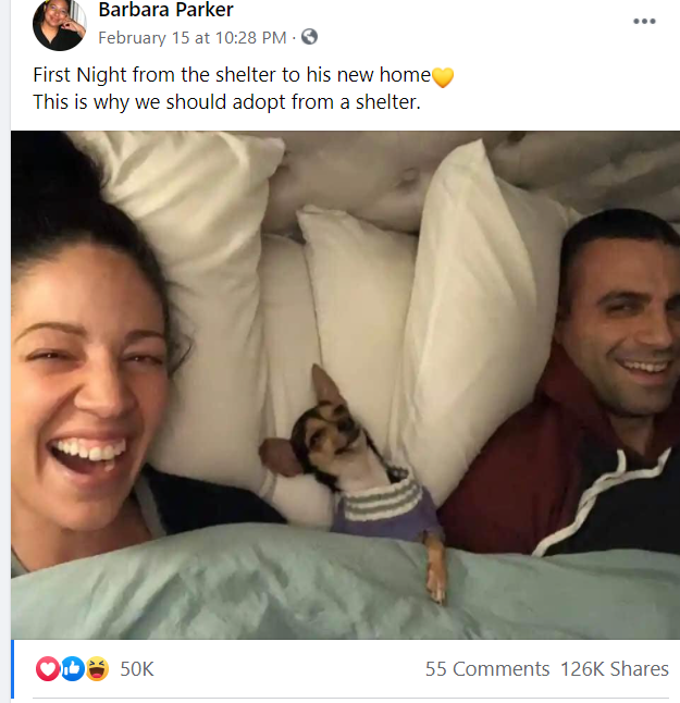 Cheri Jacobus (@cherijacobus) on Twitter photo 