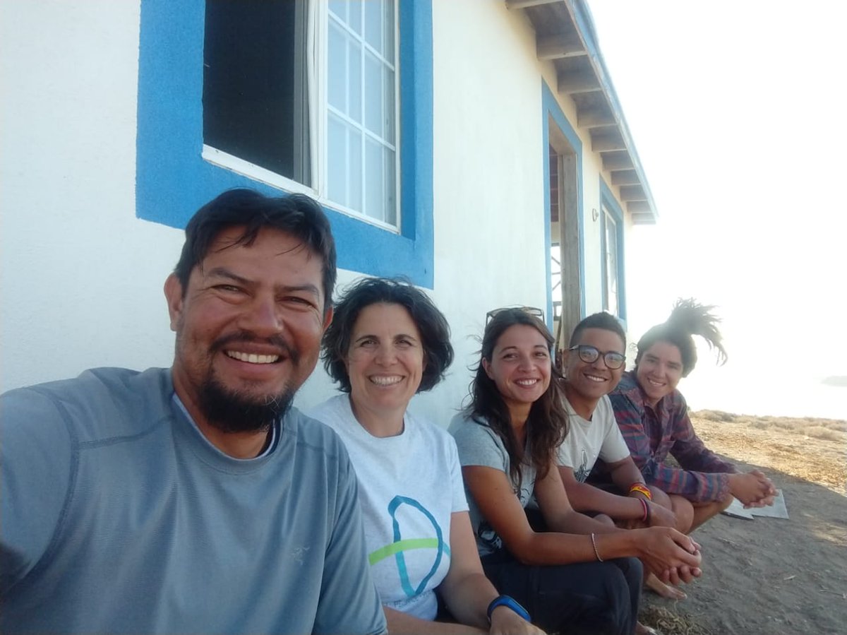 PacificSeabirds's tweet photo. Don’t miss "Scenes from the Field" during the #PSG2021 meeting! It’s only a few days away! Join CICESE to learn more about the field efforts in Natividad Island to help the black-vented shearwater in Baja California, Mexico. #FieldScenes #ApartTogether https://t.co/wEhwsouEW6