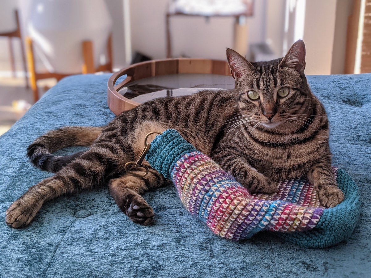 Update: I started crocheting this year, and this is what happened when I tried to take a finish photo.