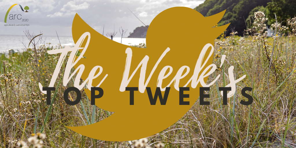 ARC2020eu's tweet photo. The Week's Top Tweets 🥳 are here: https://t.co/21alXTf34S

With:
@catchmentcare
@ChathamHouse
@xAlan_Matthews
@BirdsMatter_ie
@picotmarion
@bride_project
@whittledaway
@kev_han
@fiblorg
@KA_Nicholas
@OceanRics
@JTrittin https://t.co/vHG5G3Pz9V