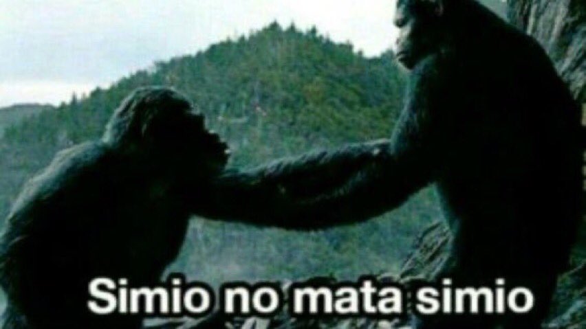Srtatvrealitys's tweet photo. Manuel y Jesus 
#LaIslaDeLasTentaciones6 https://t.co/LYccA0oAni