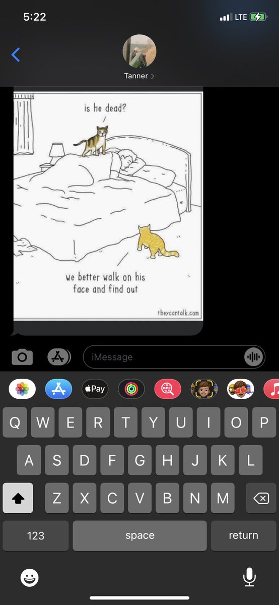 LooneyHannah's tweet photo. Tanner acts like he hates the kitten but then sends me things like this 😂 #cadad https://t.co/9rIcZ8YcKJ