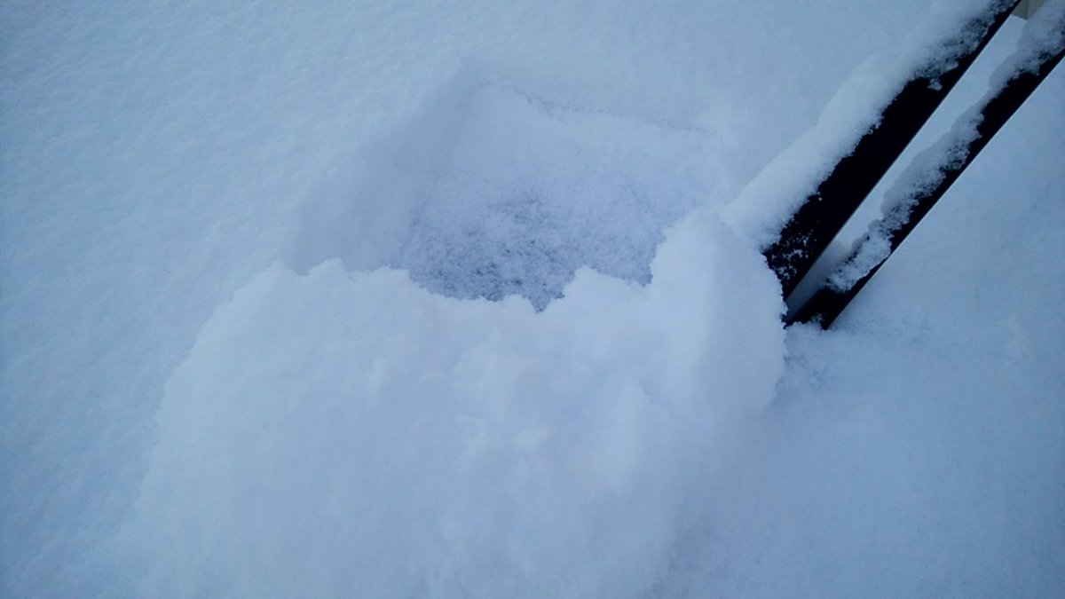 車の雪 車の雪