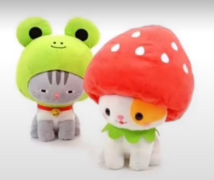 froggy_seok's tweet photo. #CatsForDMin https://t.co/HF83SqLrWl