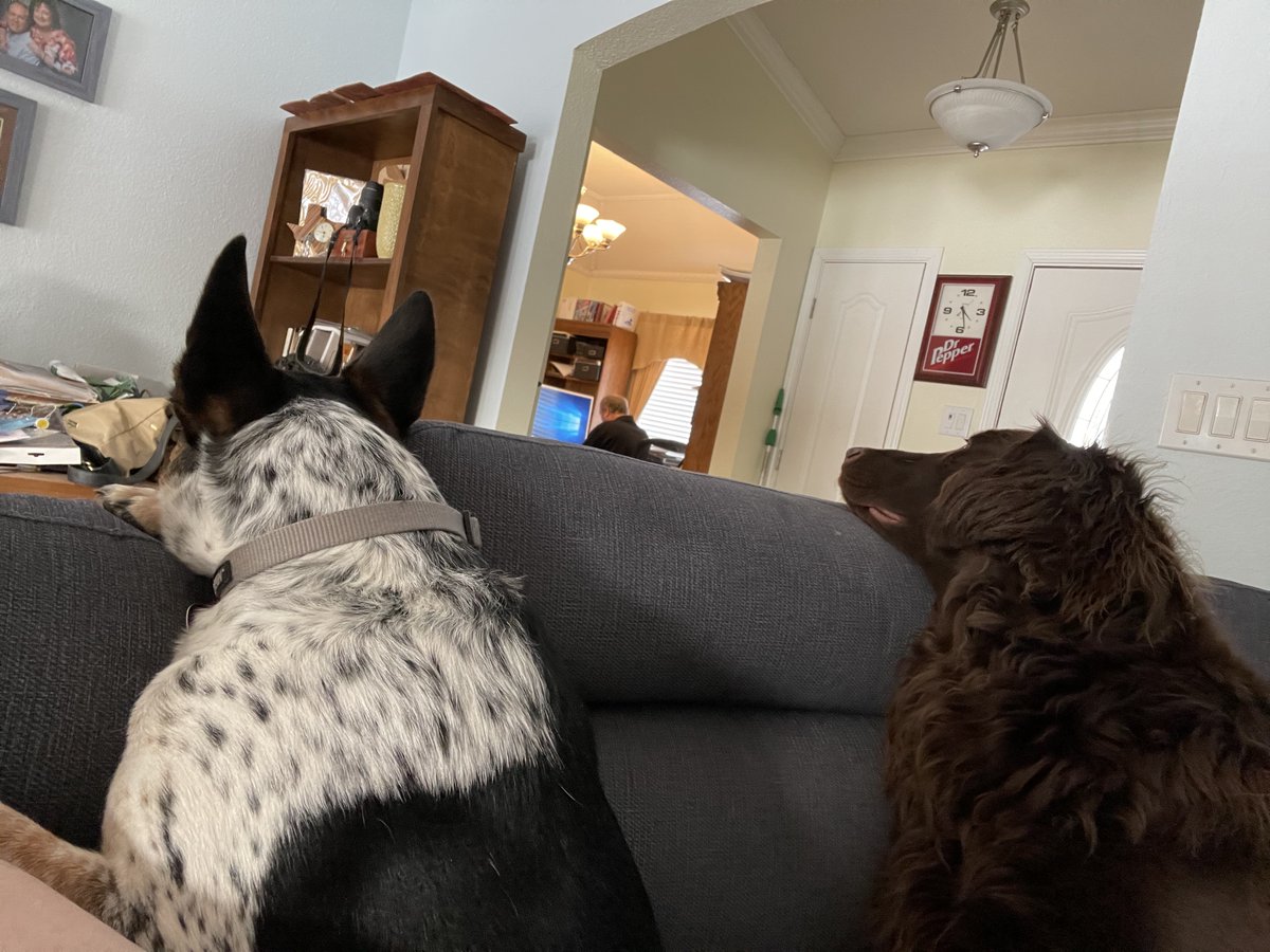 "Dad stop working!""It's time to go out in the snow!"