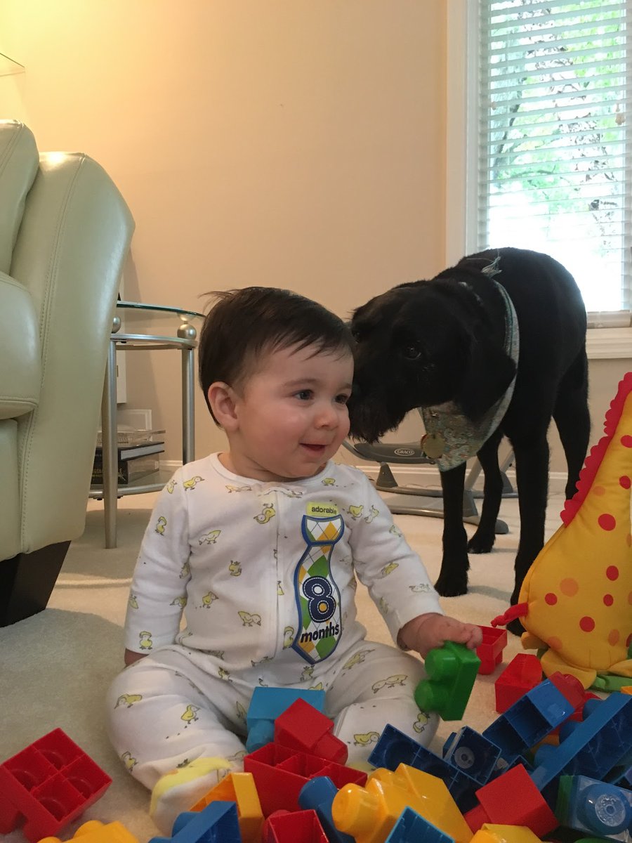 Sriram Mohan tweet media