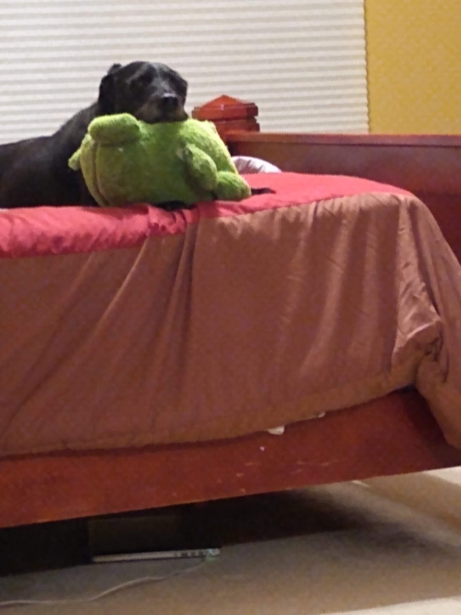 Sriram Mohan tweet media