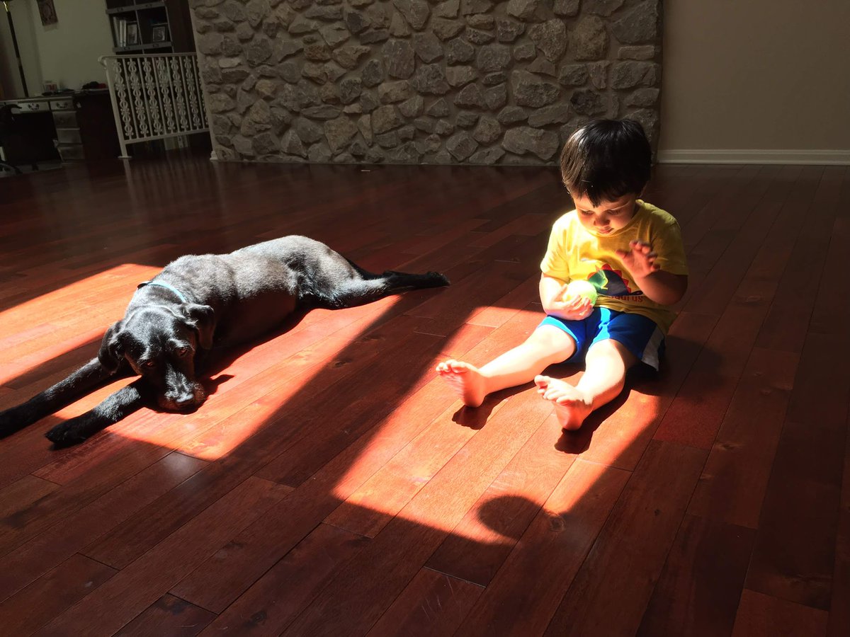 Sriram Mohan tweet media