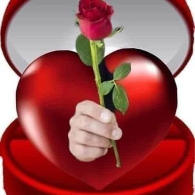 #المربربه_ولا_النحيفه