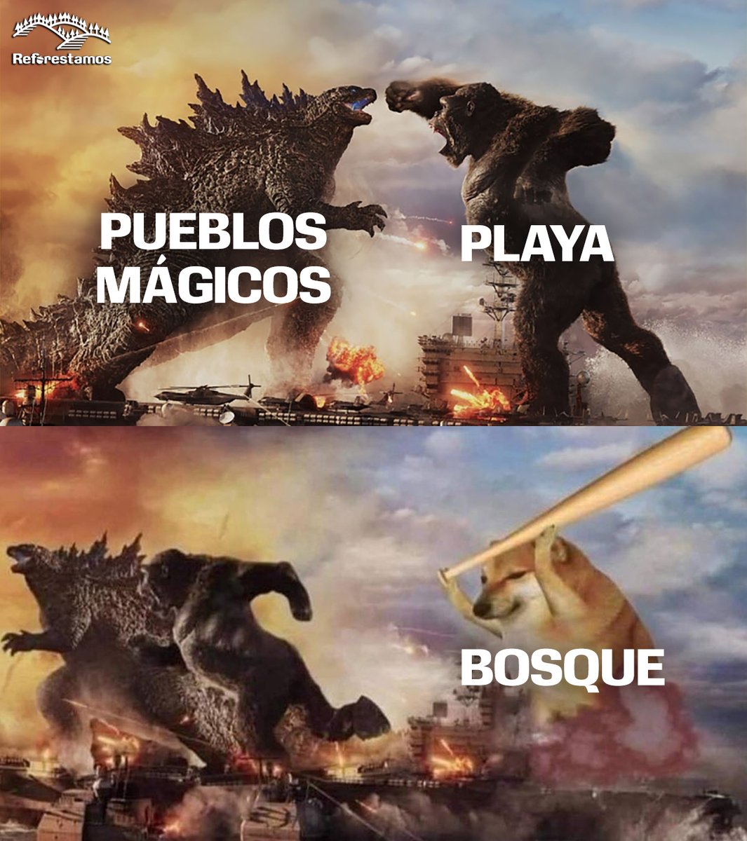 ReforestamosMx's tweet photo. 🌲😎 #TeamBosque https://t.co/nFSGqaHnzQ