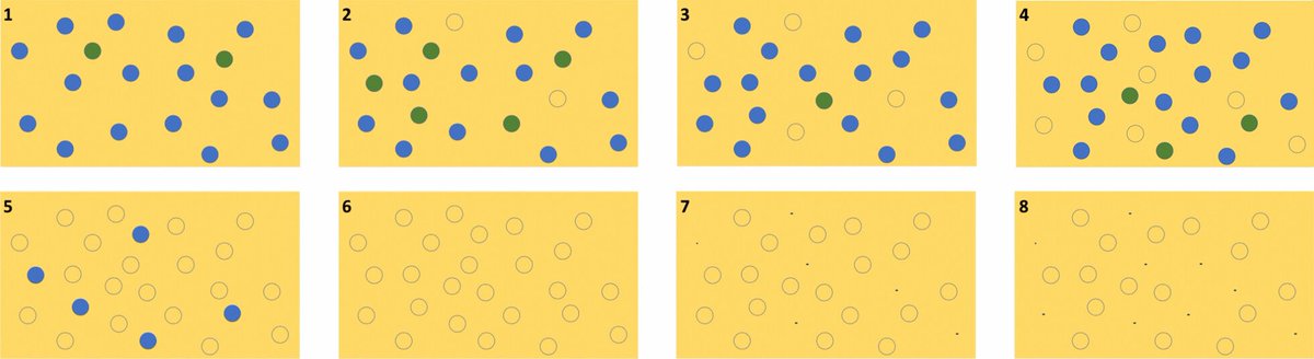 ゆるふわ生物学 生物学研究者たちのゲームチャンネル On Twitter ナミブ砂漠 フェアリーサークル の正体がトウダイグサ属 Euphorbia 植物の仕業だったことを突き止めた論文 枯死したユーフォルビアから出る毒が土壌細菌を殺菌し 周囲での植物生育を阻害すると