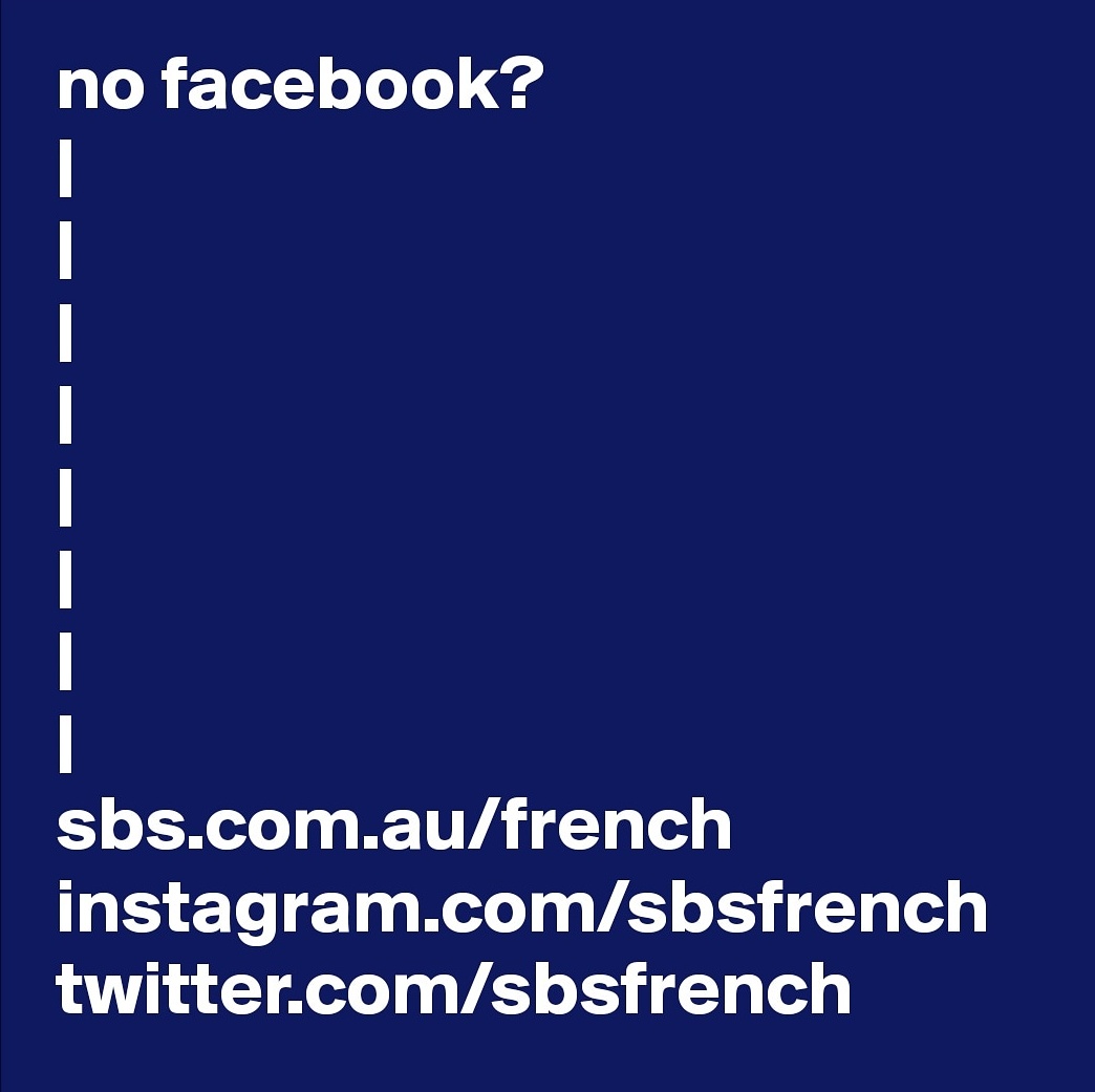 SBS FRENCH tweet media