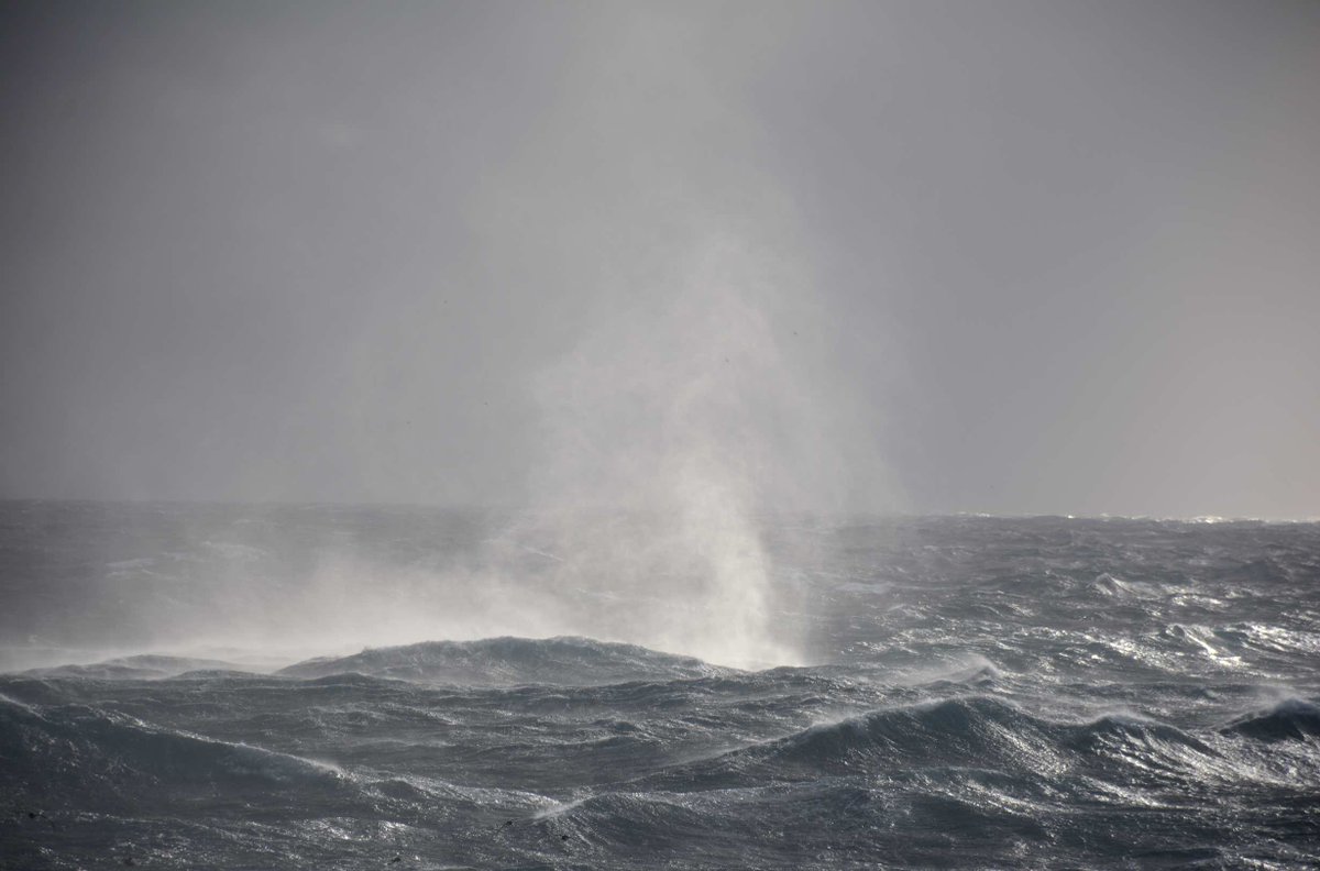 cassouman40's tweet photo. La tempête prévue #jour34 @swings_gs02 avait du potentiel; elle fut a la hauteur. Vagues gigantesques (12m+), océan en furie, jeux de lumières inoubliables. Rafale la +forte a 90.2 Nœuds (165km/h). Ns ns sommes abrités derrière l'ile Heard & la, ce fut une explosion de beauté 🤩 https://t.co/cij5Vpkx8x