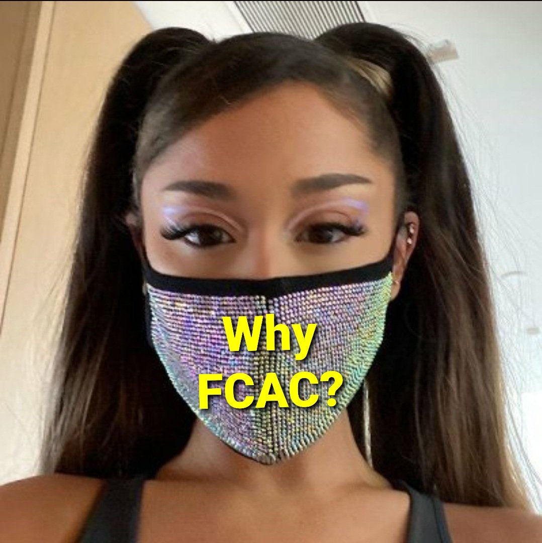 the investment community. We are brought together tonight because  @averygrrl has a lot of ?'s . As I stated earlier,  $FCAC currently delivers revenue through 3 divisions:1. Enterprise2. Provider3. Consumer SolutionsBut I'm not here to discuss the present.....