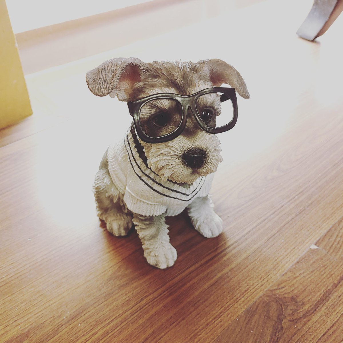 Dw_day6_drummer's tweet photo. 인형같다.... https://t.co/hE0m5Z3b2I