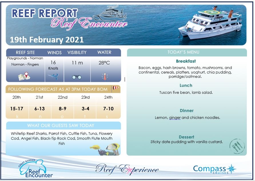 Reef Encounter Reef Report coming to you from the #GreatBarrierReef 19th February 2021. 

reefencounter.com.au

🖱 reefencounter.com.au
☎️  (07) 4037 2700
 
#reefencounter #floatinghotel #sleeponthereef #bestcrewonthereef #holidayherethisyear 
#greatbarrierreeftours