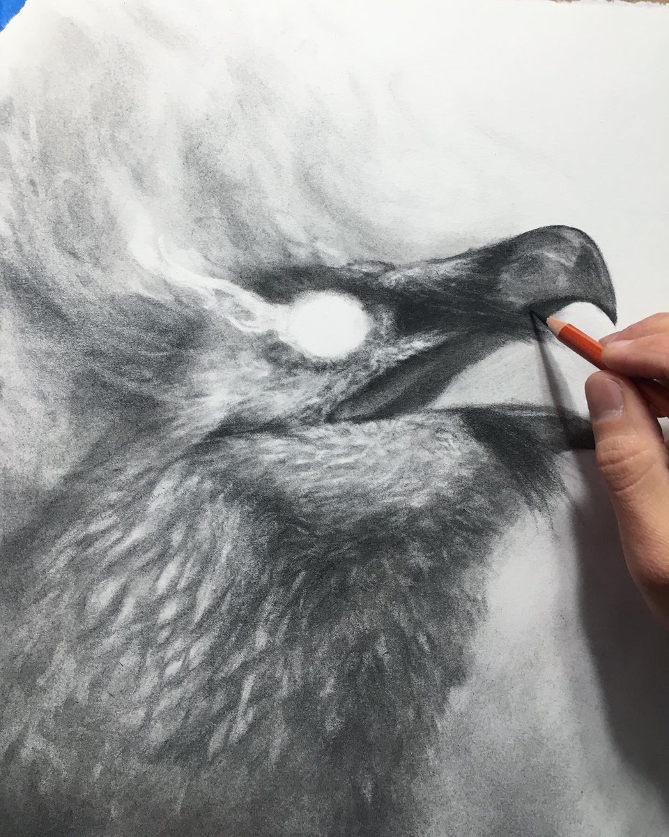 Cody Jimenez tweet media