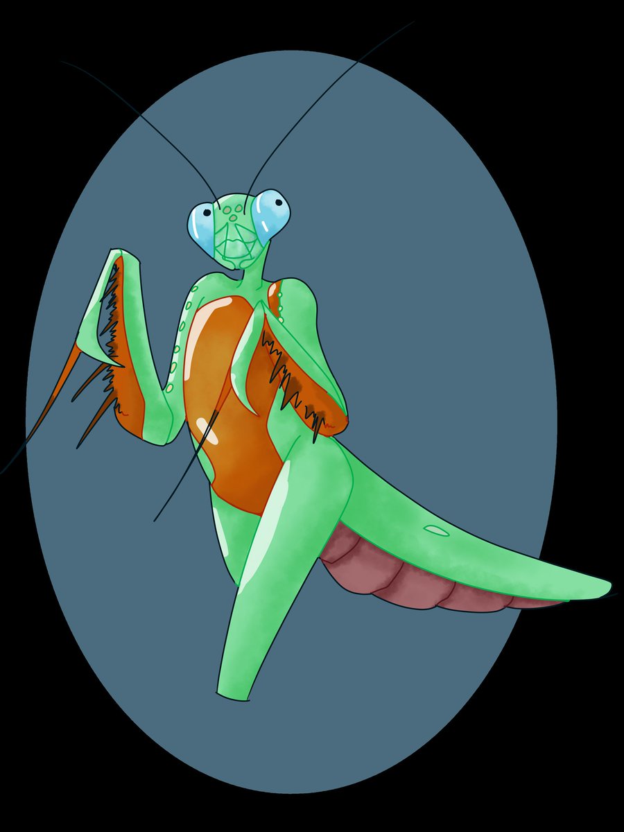 plumepenchant's tweet photo. hierodula blue
a pretty lil guy!!! love the colors 🥺🥺
comms open!
#furryart #furry #furryartist #mantis #anthroart #anthro #mantisfurry #bugfurry #insectfurry #insectcharacter #bugcharacter #bugoc #art #cute #artistsontwitter #digitalart #oc #adopt https://t.co/mx7p1mk7iX