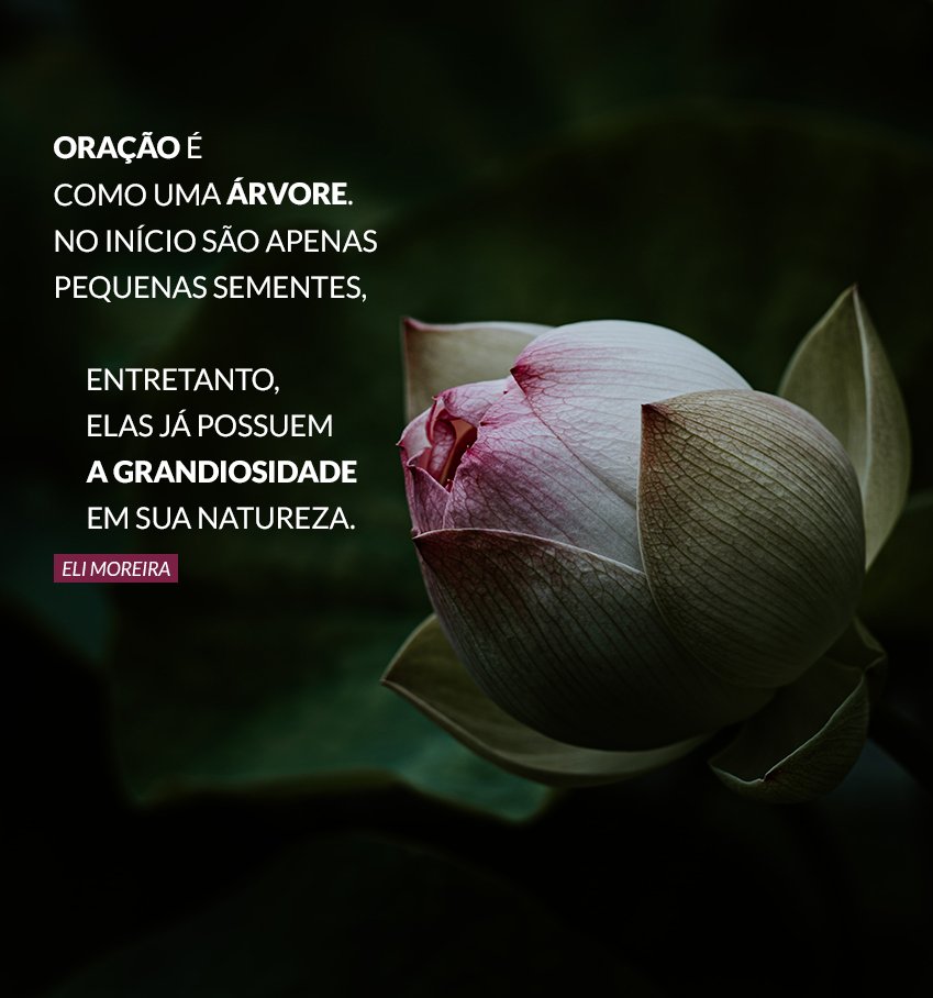 eli_moreira's tweet photo. A oração dirigida a Deus por meio do Espírito Santo possui em sua essência a vontade de Deus que é o propósito para uma vida inteira. Ela espelha quem Deus é! https://t.co/b3V0FlCjnN