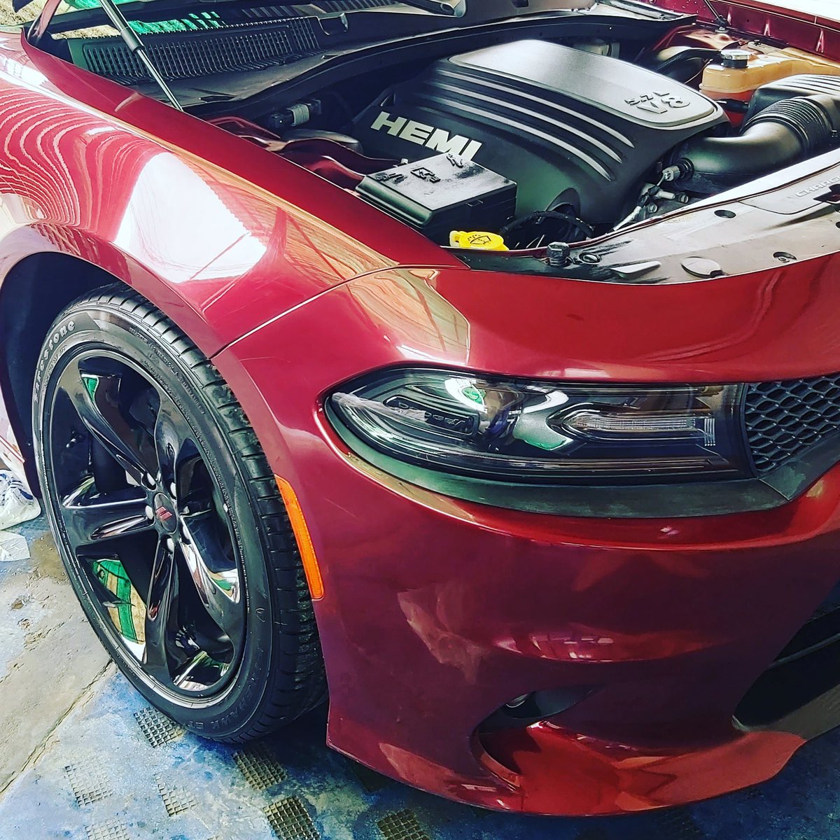 CarlosCarolini's tweet photo. #TheBeast https://t.co/frdtV9RVWj