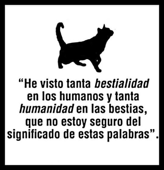 LuisCsarIbarra4's tweet photo. @Giovann69231268 Para cuando LEYES en serio que protejan a los mas #Desvalidos https://t.co/qh3Nz7J5Nh