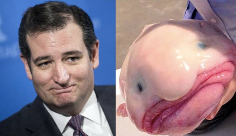 JamesEFinch's tweet photo. Turd Crust a.k.a. #TedCruz , a strange creature posing as a human, and not successfully. #Blobfish #LyinTed #PMJoy #TheReidOut #TedCruzRESIGN #TedCruzFailedTexas https://t.co/m0smeKbId5