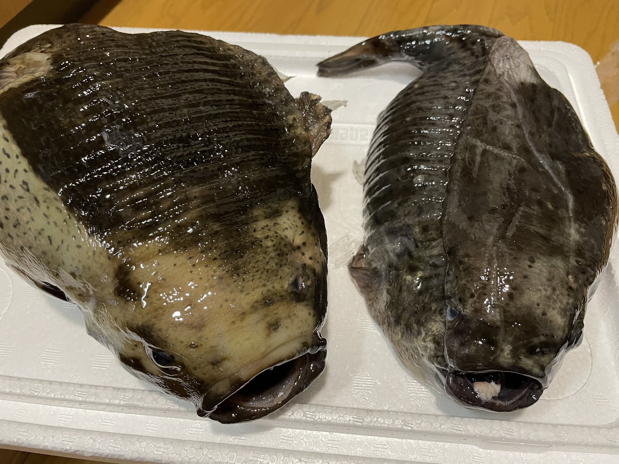 ごっこ汁 Twitter Search Twitter