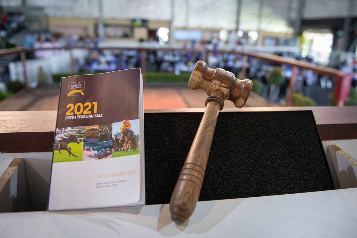 mmsnippets's tweet photo. Today from 11am (WA time) Day Two of the 2021 Perth Yearling Sale commences at our Swan Valley Sales Complex. A great line up of youngsters to go under the hammer. So many outstanding gallopers have graduated from Book Two over the years.
#WestIsBest #MMWA21 https://t.co/6cdHrNCf2d