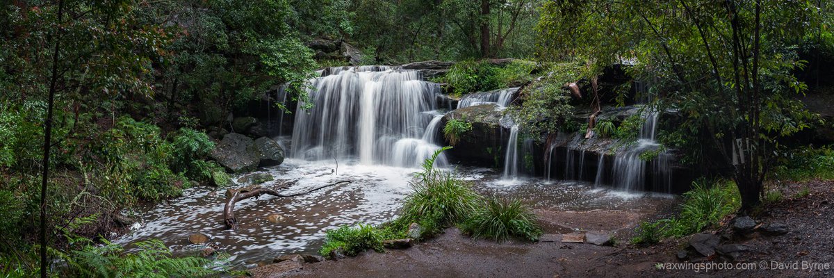 A quiet place

#parramatta #waterfall #localphotographer