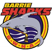 KCColbyCTV's tweet photo. @WoodyBishop @jamiemclennan29 @KellyHrudey @DougMaclean Canadian Hockey Players Are Tough!๐จ๐ฆ๐ come on Maverick from all your hockey playing brothers & sisters in Barrie Ontario Canada #ctv #bmha #bwha #colts #sharks #hockey #kids #canada #StarfishClub #caring #love https://t.co/fn86OHI2aV