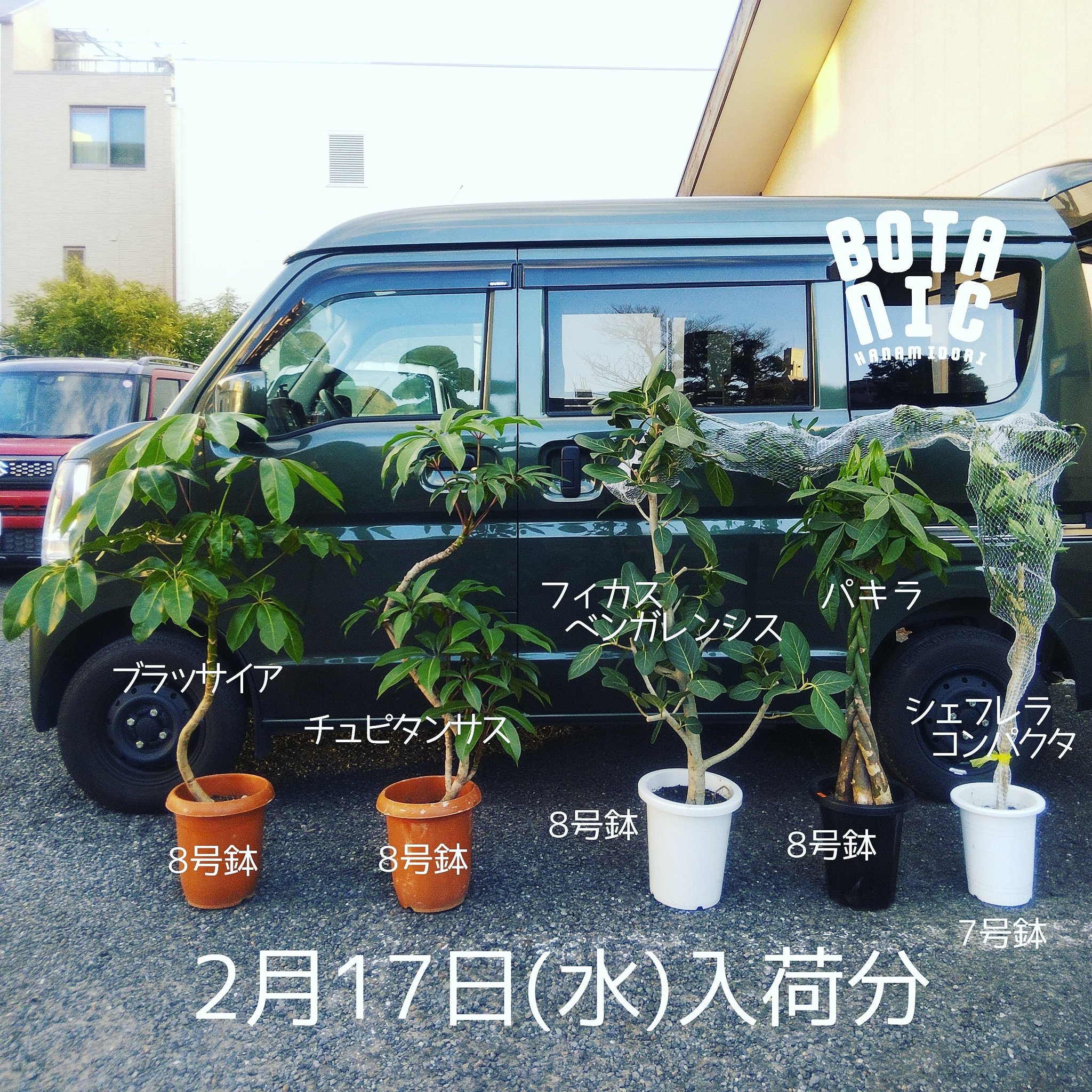 ブラッサイア Twitter Search Twitter