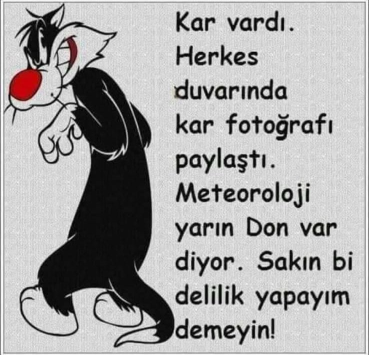 Hatem Ben Arda (@hatembenardaa) on Twitter photo 