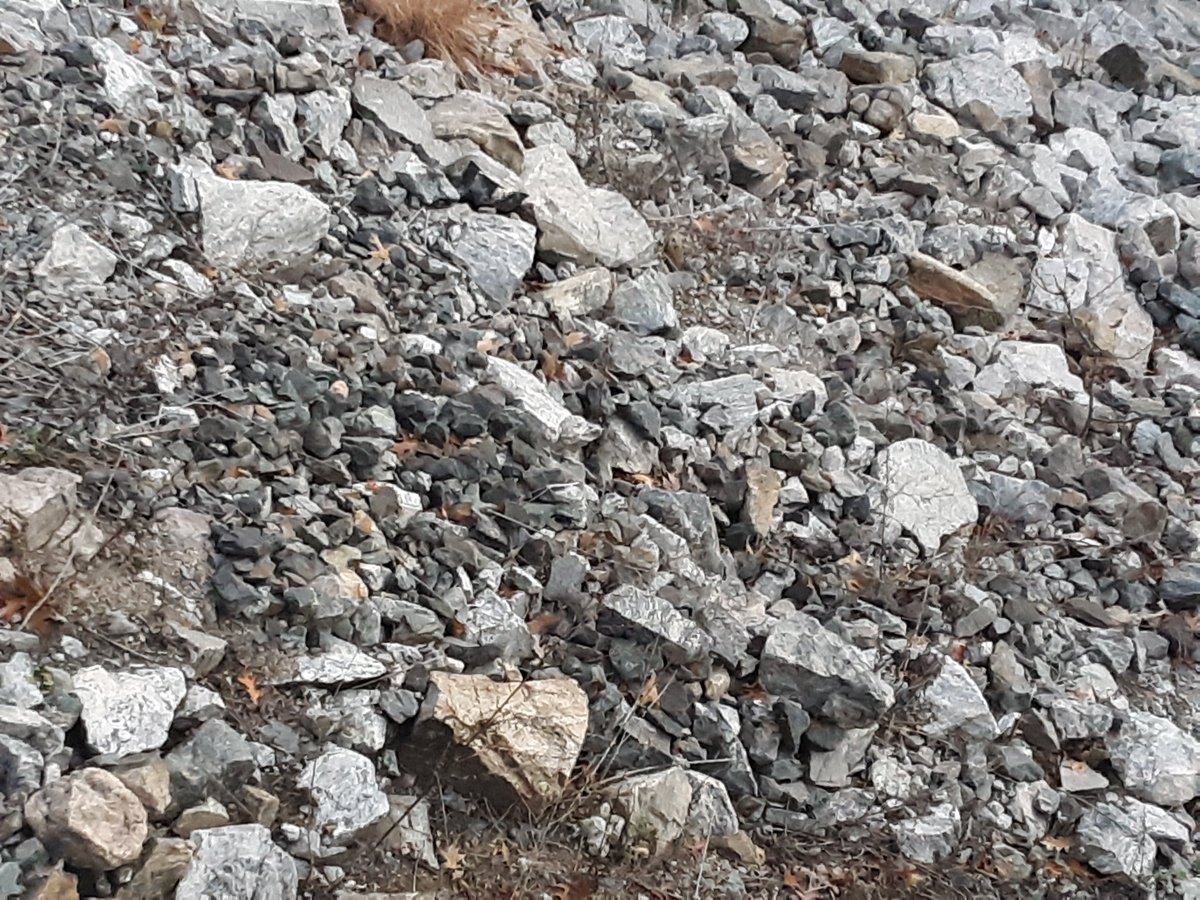 selfascaredness's tweet image. It is easy to lose focus on the basics when we are so focused on everything else.

Grounding should be a daily practice!

#grounding #love #gratitude #thankyou #nature #NaturePhotography #mentalhealth #podcast #selflove #Rocks #minerals #granite #NewHampshire #selfascaredness