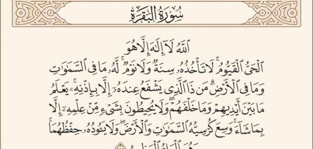 ,🇴🇲 tweet media