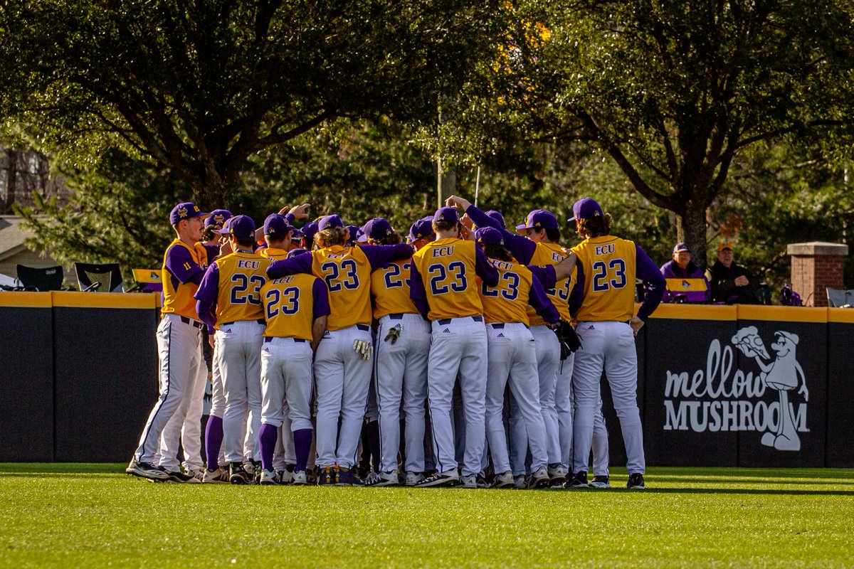At long last, what to my wondering eyes should appear,But the boys of summer in the purple and gold gear.