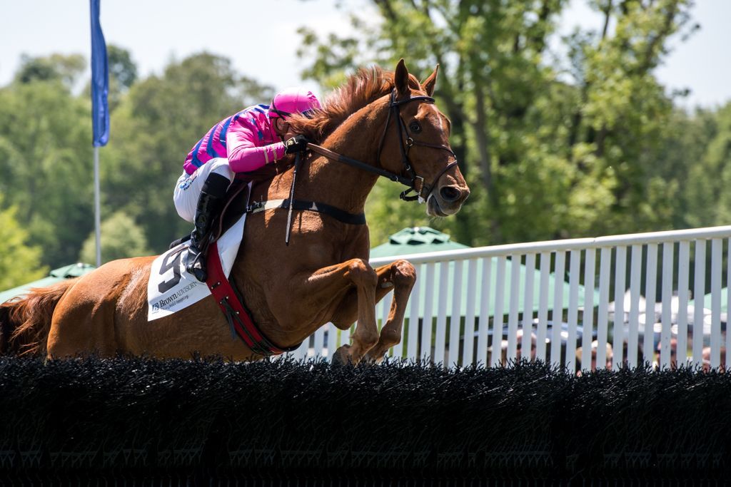 Each raffle ticket you purchase increases your chances of winning our grand prize: $5,000 cash! After the year we've all had, we could all certainly use a little good luck through a raffle win 💪 go.eventgroovefundraising.com/2021-queenscup…