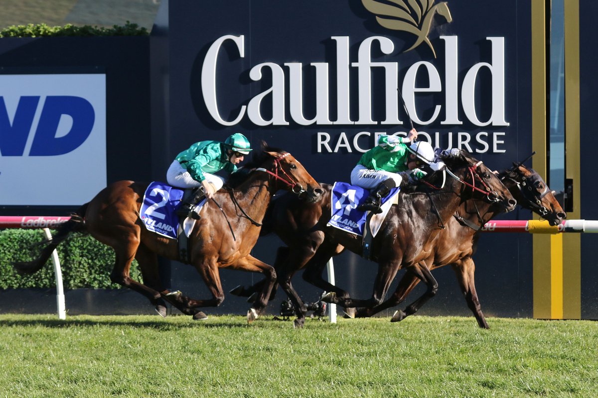 winningedgebets's tweet image. A big day of G1 racing tomorrow at Caulfield &amp;amp; we're giving you the chance to score a free monthly subscription to a #WinningEdge service of your choice if you can tip the winner of the Blue Diamond &amp;amp; Oakleigh Plate!

Simply like &amp;amp; RT this post + comment with your tips.