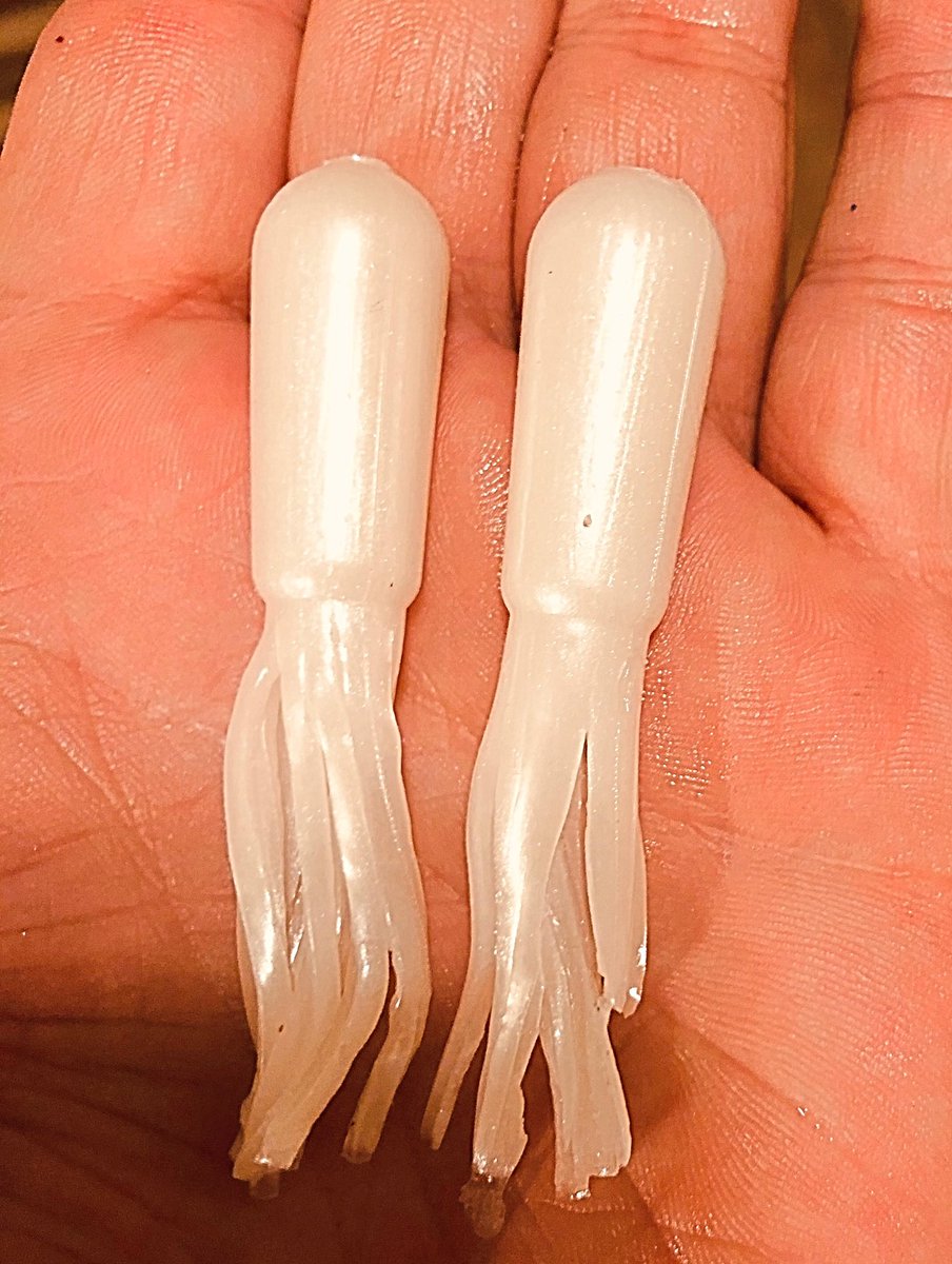 CalicoLures's tweet photo. It’s that time of year for some of us and it won’t be that long for the rest of us!!!! SIGHT FISHING!!! Calico Custom Lures are your one stop shop for all your sight fishing lures... white or pearl patterns are available in our entire product line... DM if interested https://t.co/VIM3DUXw80