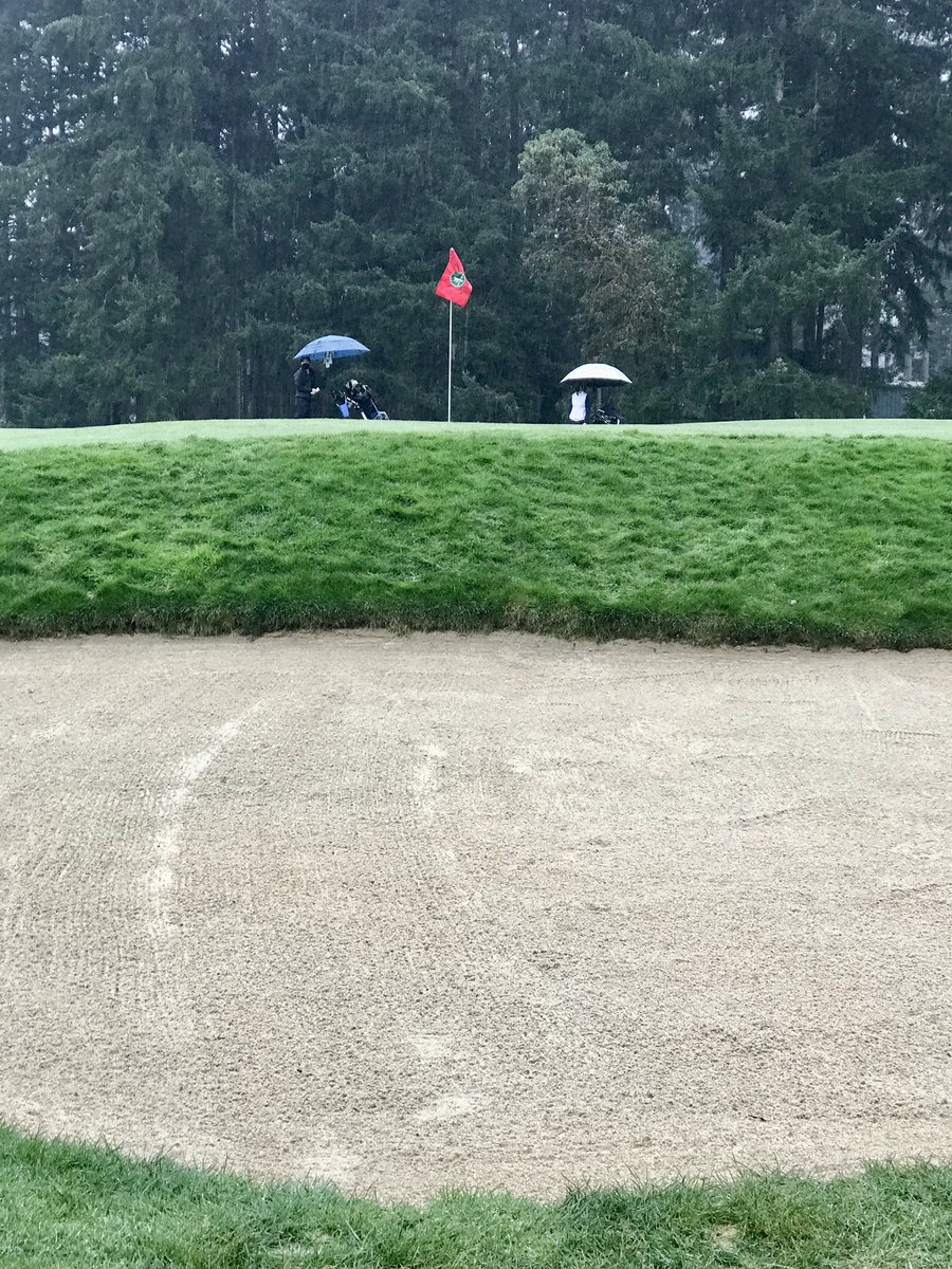 BPS Yearbook tweet media