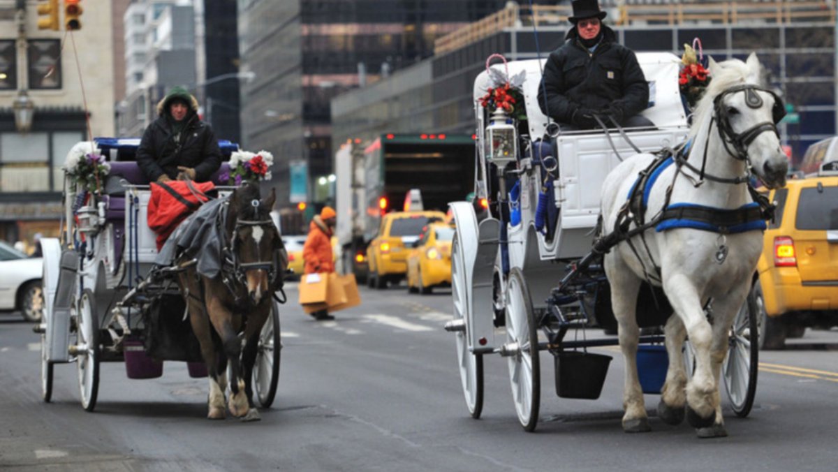 Gloria Raquel Carbajal tweet media